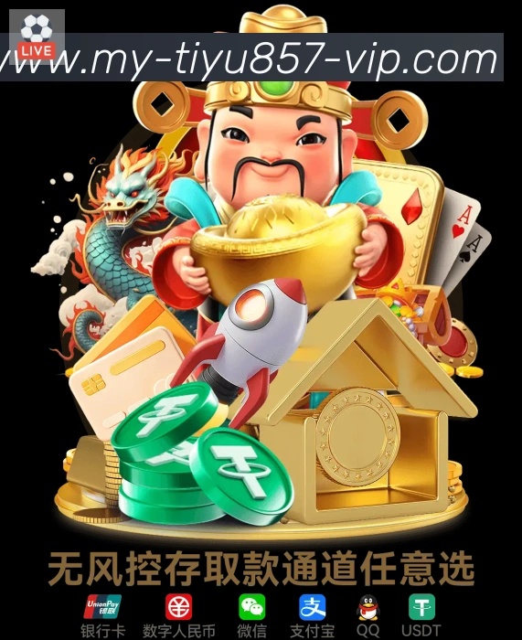 登录器